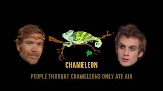 myShakespeare | Hamlet 3.2 Hamlet’s Wordplay