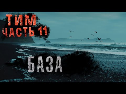 Тим#11 БАЗА Александр Цзи