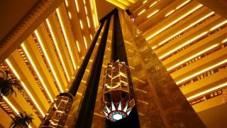 Funky Boogie Brothers   Summer In The City Net Worth