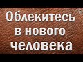 "Облекитесь в нового человека" Ступин Е.