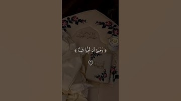 وَعَسَىٰ أَن تَكْرَهُوا شَيْئًا وَهُوَ خَيْرٌ _ فارس عباد  _ سورة البقرة