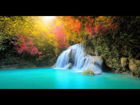 Focus Music for High Concentration, Enhanced Productivity, and Relaxing ...