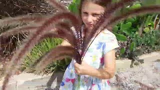 Asmr Mini - Soft Tickle Gr