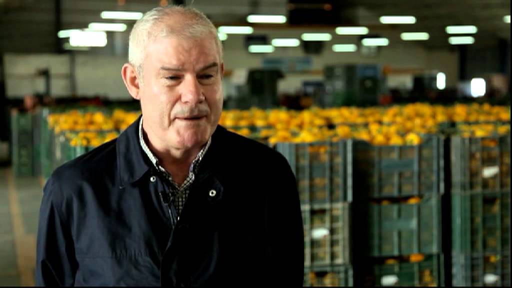 Los invernaderos llegan a Almería 2