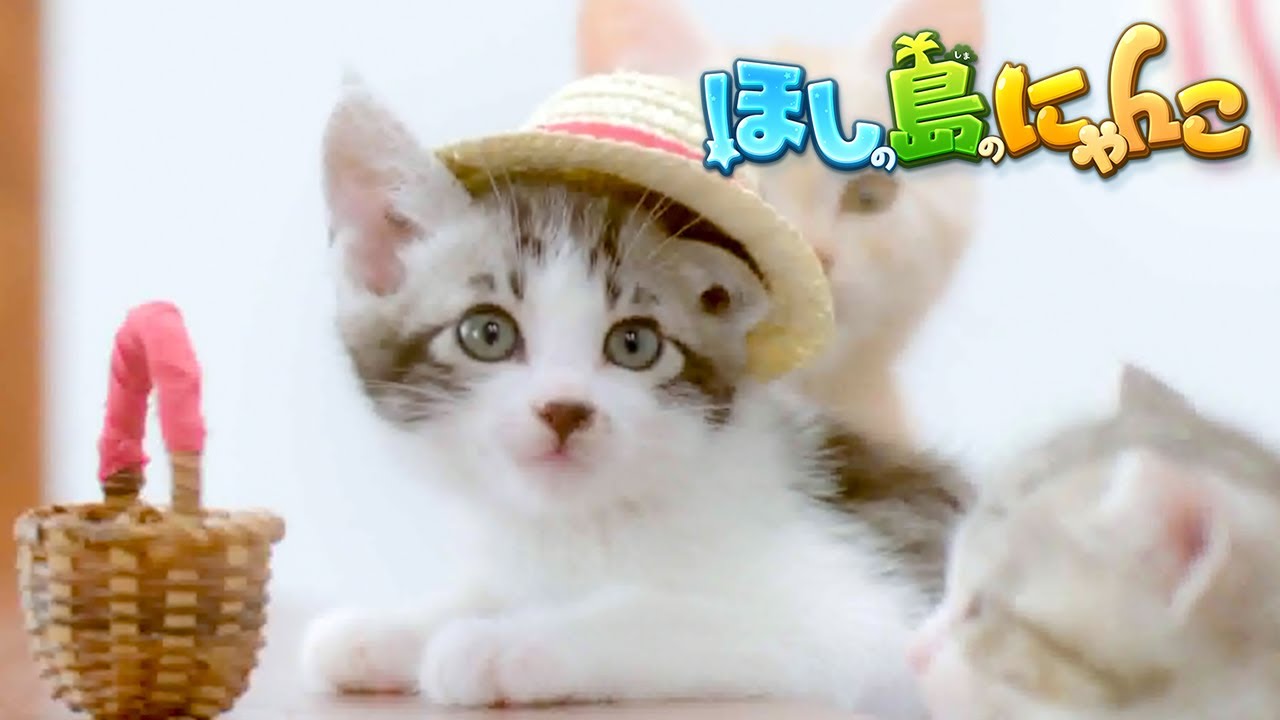 ころぷら TVCM｜2014 ほしの島のにゃんこ「大繁盛」篇 - YouTube