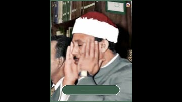 تلاوة هادئة «لَقَدْ خَلَقْنَا ٱلْإِنسَـٰنَ فِىٓ أَحْسَنِ تَقْوِيمٍ» 🌹 🌹 🌹 🌹