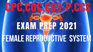 CPC, COC, CCS, CCSP EXAM PREP  FEMALE REPRODUCTIVE SYSTEM