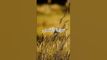 سورة الضحى بصوت الشيخ  #صباح_الخير #المصحف #القرآن_الكريم #الرحمن #اكسبلور #تيك_توك #دويتو