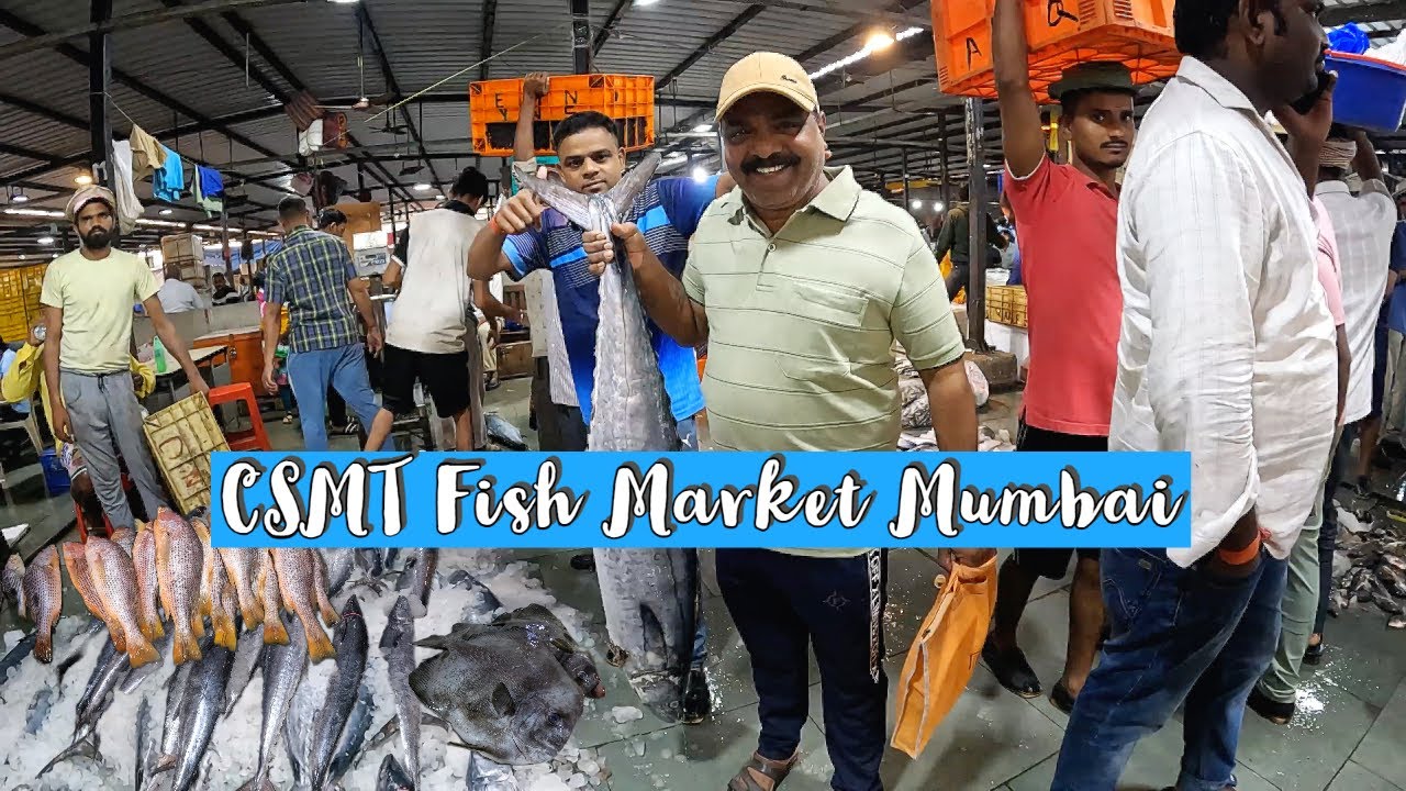Chatrapati Shivaji Maharaj Wholesale Fish Market Mumbai मुंबईतील