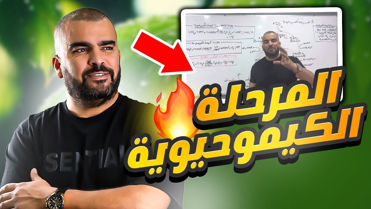 تقاعلات المرحلة الكيموحيوية التركيب الضوئي باكالوريا علوم الطبيعة والحياة