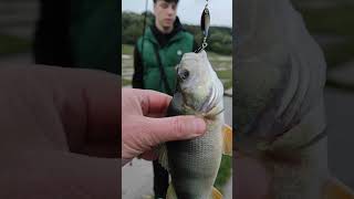 Крупный Окунь Попался Рыбалка 🐟 Топ Сезона 🔥 Редкая Рыба на Виш Озере 😮🐟 Вертушка Сработала Класс 👍🦆