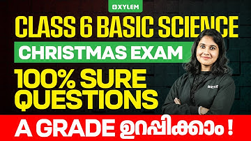 Class 6 Basic Science Christmas Exam 2025 | 100% Sure Questions – A Grade Guaranteed | Xylem Class 6