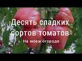 Сладкие сорта томатов на моем огороде. Юг западной Сибири