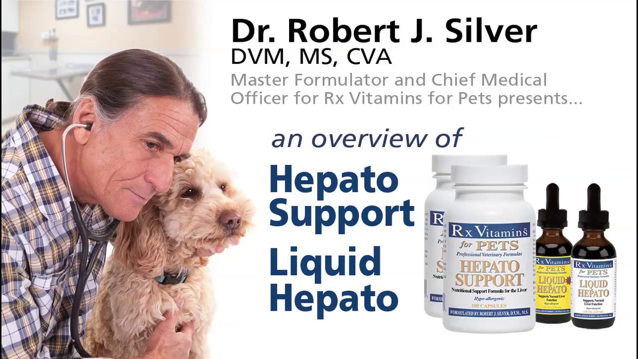 hepato support