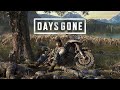 Days Gone #42