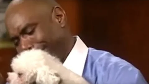 Judge Judy Lets Dog Find Its REAL Owner Inside Court