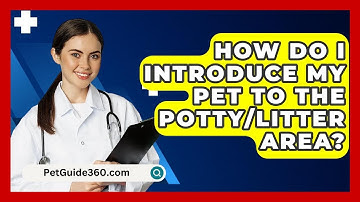 How Do I Introduce My Pet To The Potty/litter Area? - PetGuide360.com