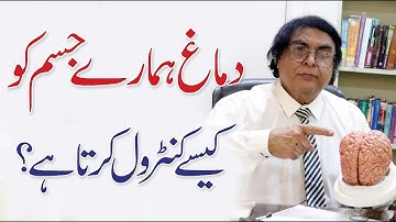 How Brain Controls Your Body? Science Behind Mind & Body Connection | Dr Khalid Jamil