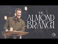 The almond branch  brian guerin  sunday service