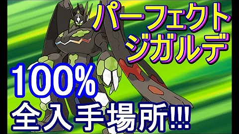 ポケモンyジガルデ入手