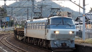 2019/10/27 JR Freight: Long Rail by EF66-107 & EF210-305 at Hachihommatsu
