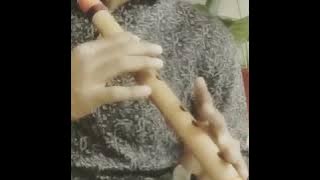 Meghan Trainor - Like I'm Gonna Lose You Flute Cover |Deepanshu Chakrabory|