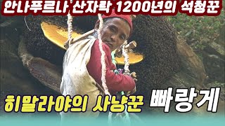 히말라야의사냥꾼 빠랑게 / 안나푸르나 구릉족의 1,200년의 석청사냥  [세상실험] KBS  2011.01.07 방송