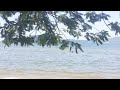 Um Paraíso Em Angra Dos Reis!