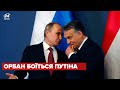 Далі боїться Путіна: Орбан відзначився новою заявою щодо санкцій