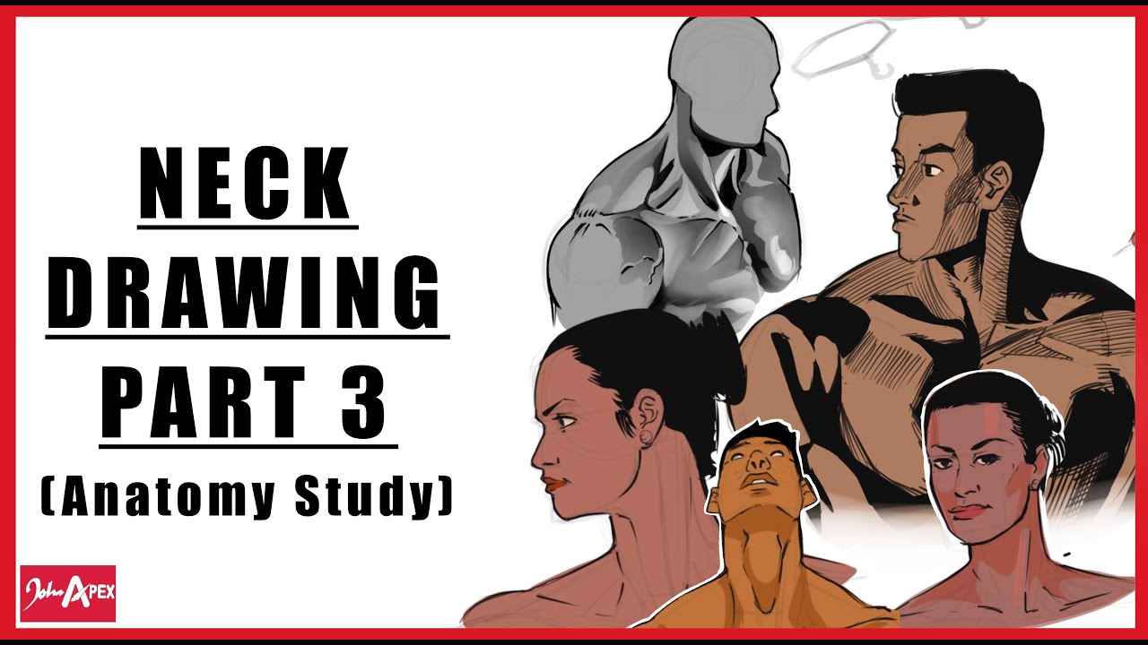 How to Draw the Neck Anatomy study from photos part 3 - YouTube