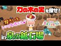 【牧場物語】目指せ地下100階!泉の鉱石場で力の木の実を入手しよう【Switch】【再会のミネラルタウン】