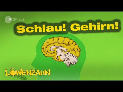 Video: Masturbationseffekte Auf Das Gehirn: 12 Vor- Und Nachteile Zu Berücksichtigen