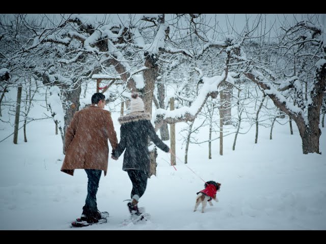 Watch Stay and Play in Kelowna, Ski at Big White #OkanaganExploring on YouTube.