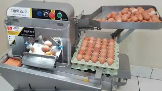 AMAZING EGG PROCESSING TECHNOLOGY AUTOMATIC EGG GRADING & PACKING MACHINE|EGG BREAKING & SEPARATING