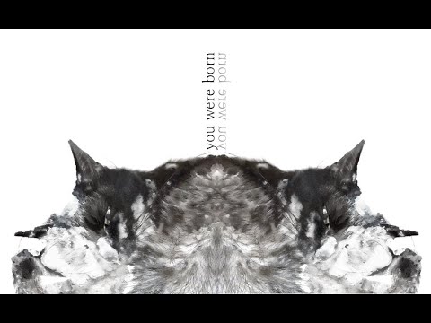 【オリジナル曲】end all FIN – 君が生まれた