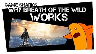 GAME SHARKS Why Zelda Breath of the Wild Works screenshot 5