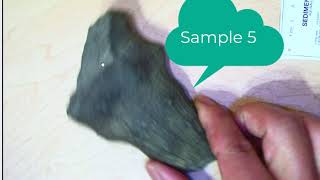 Fossil Lab 01 Activity 1.6