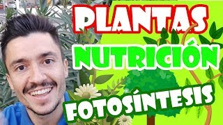 La nutrición de las plantas para niños