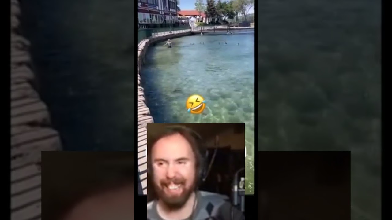 Karen yells at ducks