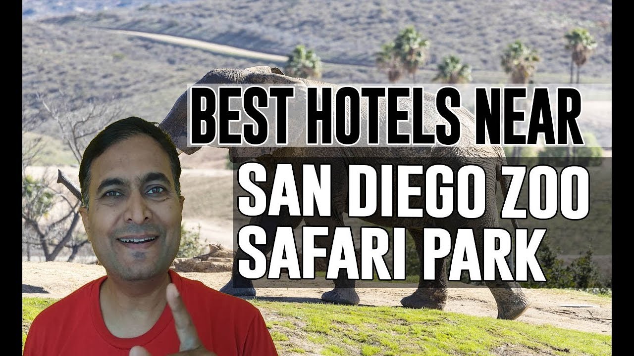 hotels by safari park san diego