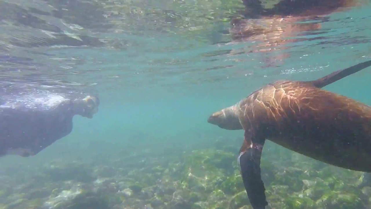 Manglecito Beach, San Cristobal Galapagos