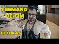 Elxokas y su primera semana de gimnasio elxokas  elxokas