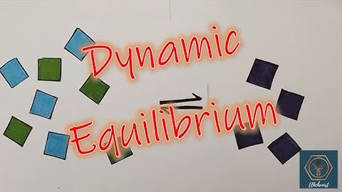 Dynamic Equilibrium - Confused? Then Watch This Explanation!