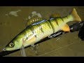 Making a Perch SwimBait