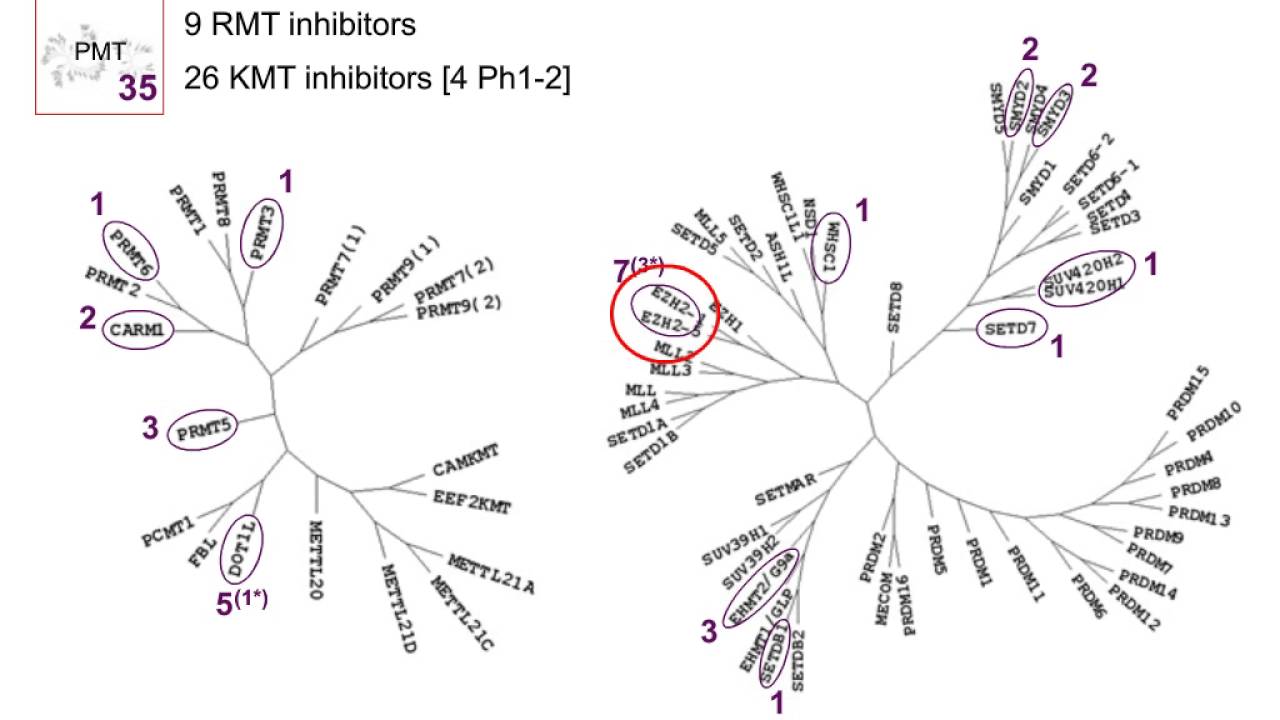 Developing Relevant Epigenetic Models to Enhance Drug Discovery