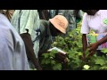 Tchibo: Bildungschancen für Kinder in Benin