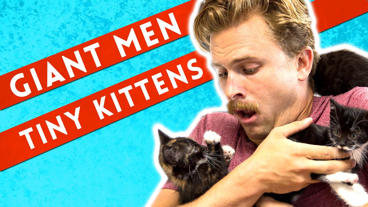 Giant Men Meet Tiny Kittens