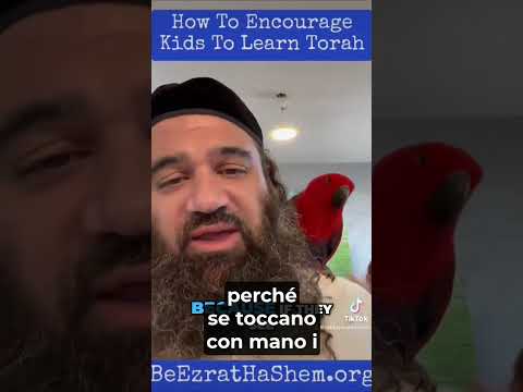 Celebrare la Torah  Una festa per i nostri bambini con un pappagallo