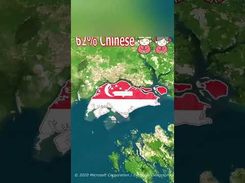 Эта страна не хотела независимости...🇸🇬😭