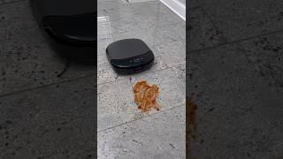 eufy S1 Pro Mopping TEST!!! How good is it really?